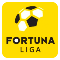 Nike liga Logo