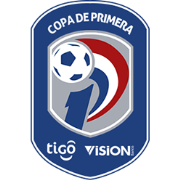 División Profesional Logo