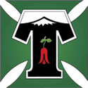 Temuco Logo