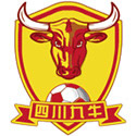 Shenzhen Peng City Logo