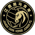 Jiangxi Dark Horse Junior Logo